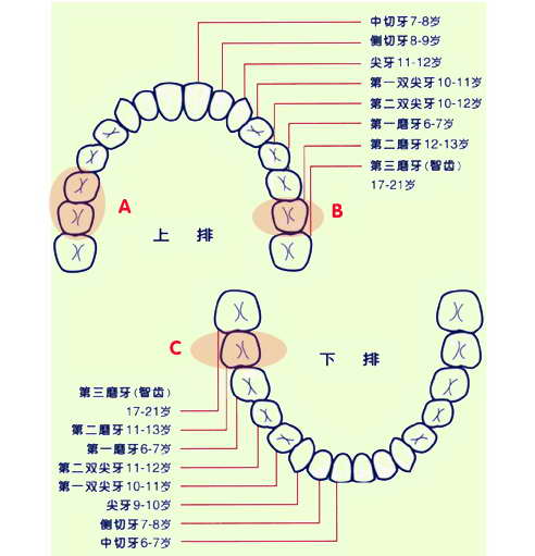 byb.cn