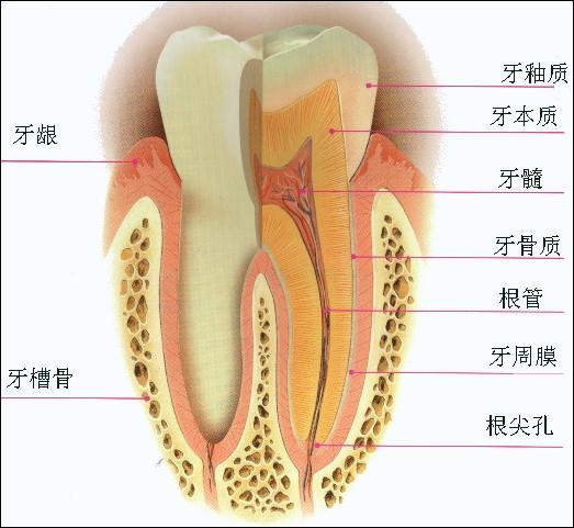 byb.cn